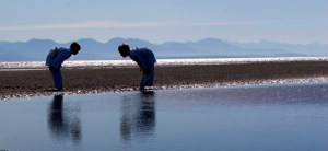 Campbell River Judo Club
